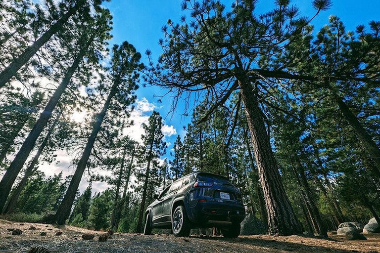 Big Bear Lake: Jeep Tour with Scenic Picnic Lunch