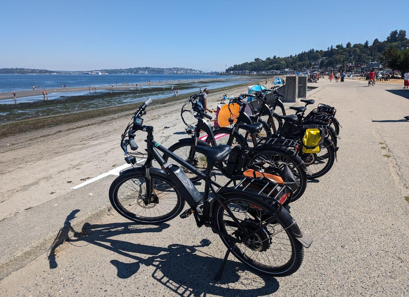 Seattle: 2,5 timers byrundvisning på elcykel