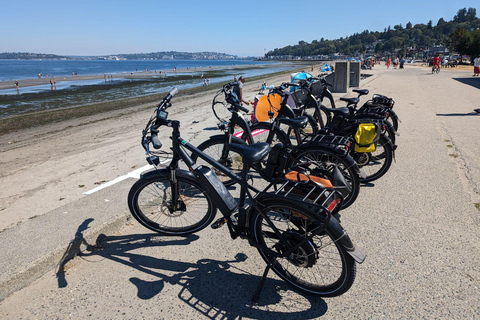 Seattle's Electric Bike Tour
