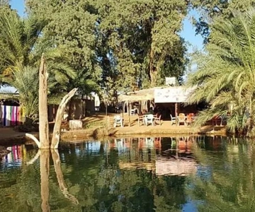 From Douz : One Day in Ksar Ghilene Oasis & Sand Dunes