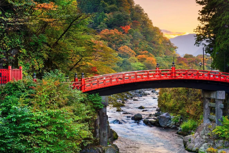 Tokyo: Nikko World Heritage Sites Scenic Private Day Tour