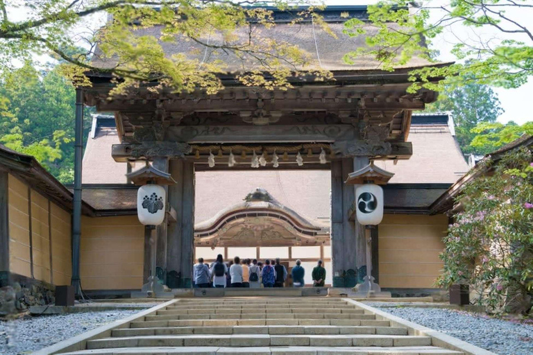 Guided Wakayama Heritage & Forest Trails with Hotel Pickup