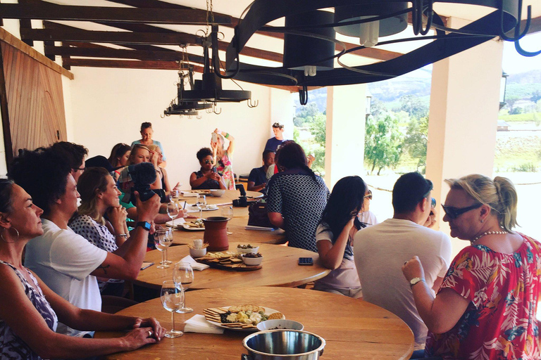 Kaapstad: reis door het wijnparadijs van Zuid-AfrikaKaapstad: Reis door het wijnparadijs van Zuid-Afrika