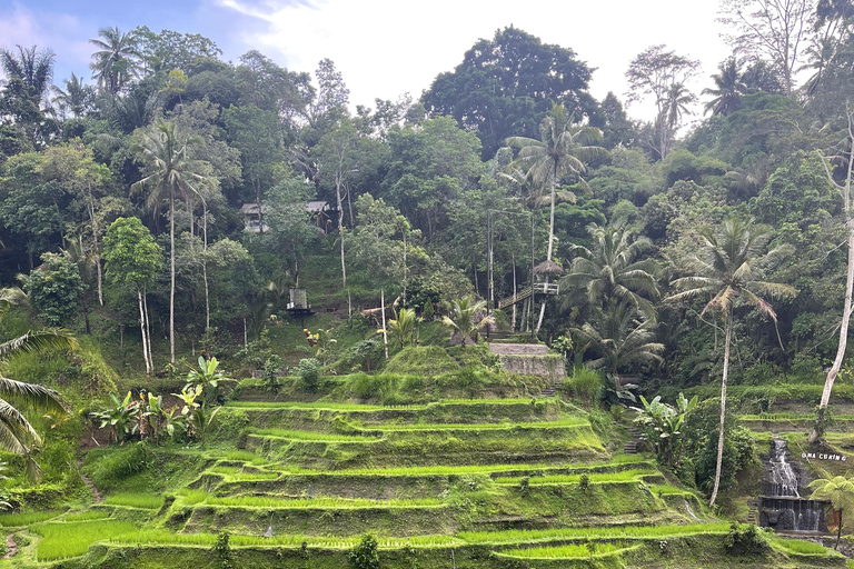 Full Day Tour To Ubud Included Ticket