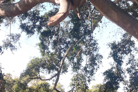 Bangalore: Budget Friendly City Tour pickup/lunch