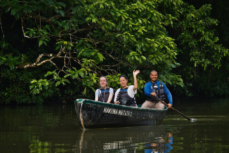 Tortuguero: Passeio de aventura em canoa