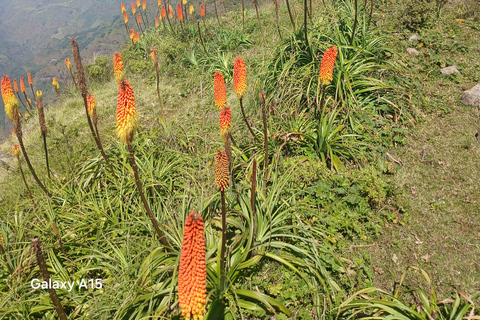From Gondar 7-Day Simien Mountains Trekking Tour