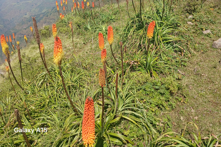 From Gondar 7-Day Simien Mountains Trekking Tour