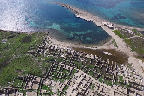 Delos Island: Private Guided Tour with Certified Local Guide 2-hour Private Guided Tour in French