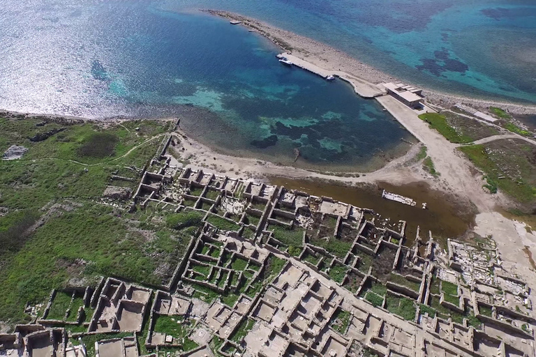 Île de Delos : Visite guidée privée avec un guide local certifié.Visite guidée privée de 3 heures en Grèce