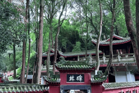 Leshan Giant Buddha Tour: Discover Ancient Stone Masterpiece Leshan Giant Buddha: One-Day Tour with Exclusive Car & Lunch