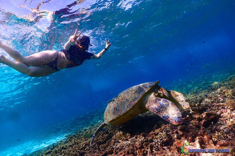 Koh Tao: Excursão de um dia com mergulho com snorkel nas ilhas e almoçoKoh Tao: Ilhas Snorkeling Destaques Day Tour &amp; Almoço