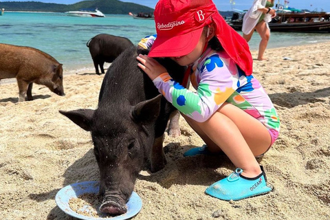 Koh Samui: Privé Longtail Boot naar Varkenseiland met SnorkelKoh Samui: Privé Longtail Tour naar Varkenseiland met Snorkel