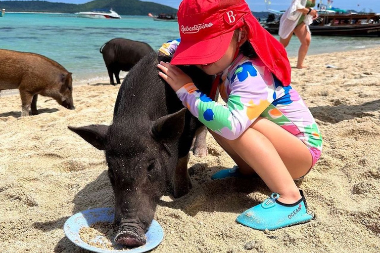 Koh Samui: Privé Longtail Boot naar Varkenseiland met SnorkelKoh Samui: Privé Longtail Tour naar Varkenseiland met Snorkel
