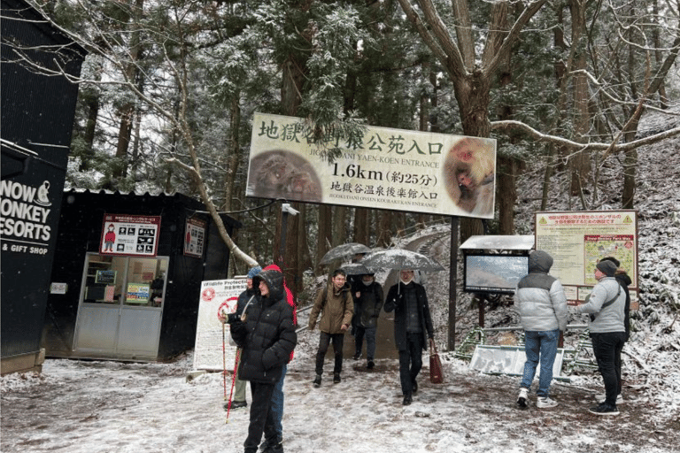 Från Tokyo: Dagstur till Snow Monkey Park och Miso-produktionDagstur i en Toyota Vellfire