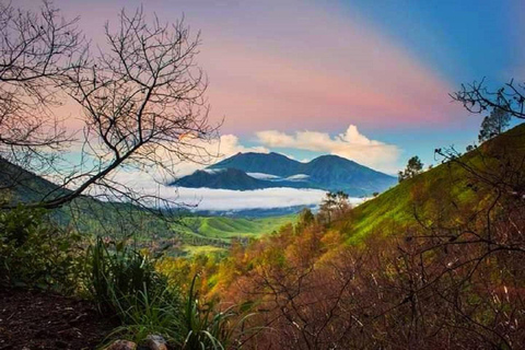 Z Bali: Prywatna wycieczka do Kawah Ijen, aby zobaczyć Blue Fire