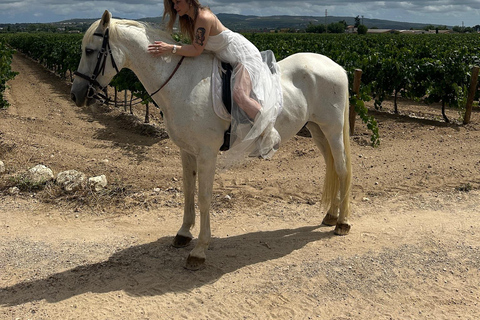 Alicante: przejażdżka konna po górach Maigmó, piknik i transferAlicante: Wycieczka konna na górę Maigmó, piknik i transfer