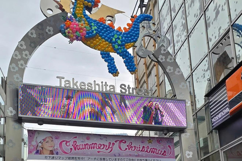 Tokyo Full-Day Private Tour with English-Speaking Guide