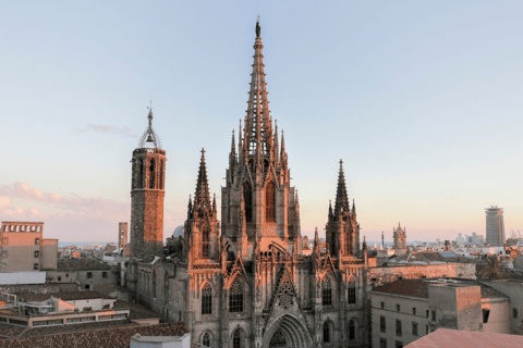 Barcelona Cathedral: Ticket, Guided Tour and VR Experience Barcelona Cathedral: Guided Tour In English