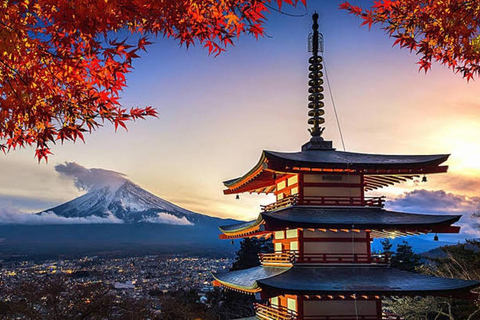 From Tokyo: Mt. Fuji & Hakone Private Scenic Day Tour