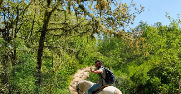 Depuis Porto : excursion à cheval dans la campagne du Douro et déjeuner