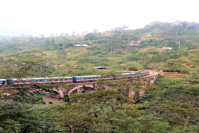 Pacchetto turistico di 14 giorni in Sri LankaPacchetto tour di 14 giorni: copertura completa della parte migliore dello Sri Lanka