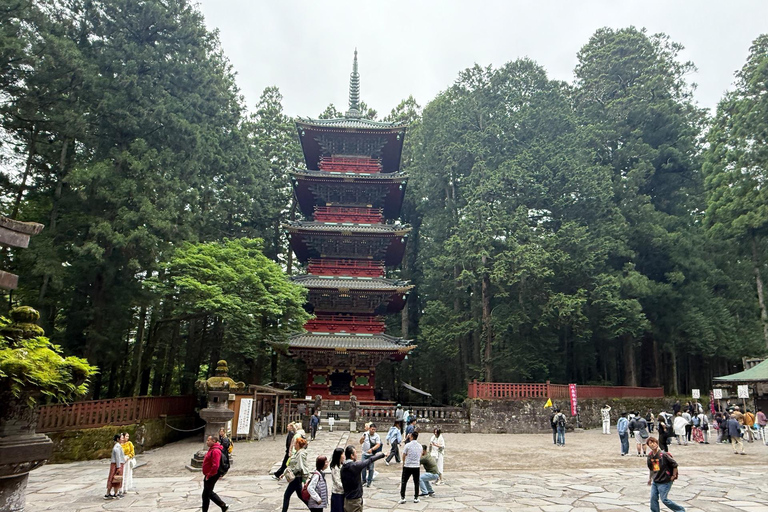 Tokyo: Nikko Private Day Tour with Pickup