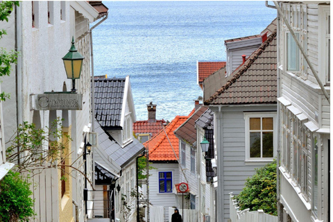 Bergen: Hidden Gems Premium Minibus Tour with Scenic Views