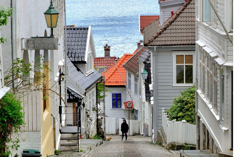 Bergen: Hidden Gems Premium Minibus Tour with Scenic Views