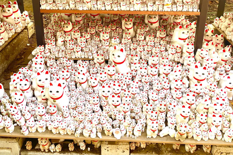 Tokyo: Gotokuji Cat Temple, Shinjuku Cat Cafe & 3D Cat Tour