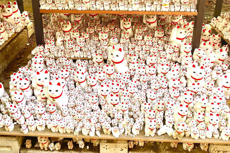 Tokyo: Gotokuji Cat Temple, Shinjuku Cat Cafe & 3D Cat Tour