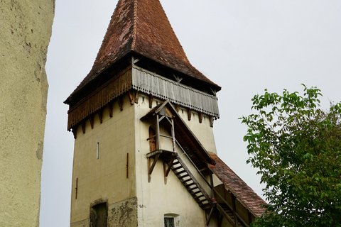 Desde Bucarest: Descubre la Transilvania medieval en una excursión de 3 días