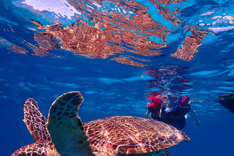 From Naha: Kerama Islands Snorkeling Boat Trip with Turtles