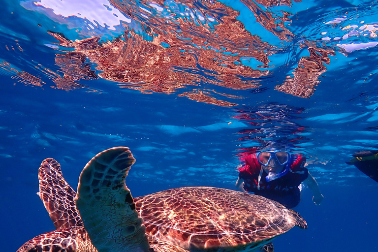 From Naha: Kerama Islands Snorkeling Boat Trip with Turtles