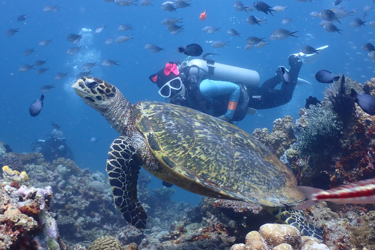 Descubre el submarinismo en Boracay