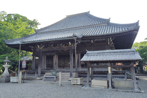 مي: العودة بالزمن إلى الوراء في جولة إرشادية عبر سيكي-جوكو