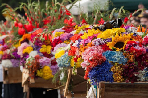 麦德林：圣埃伦娜花卉农场之旅圣埃伦娜花卉农场游览含茶点