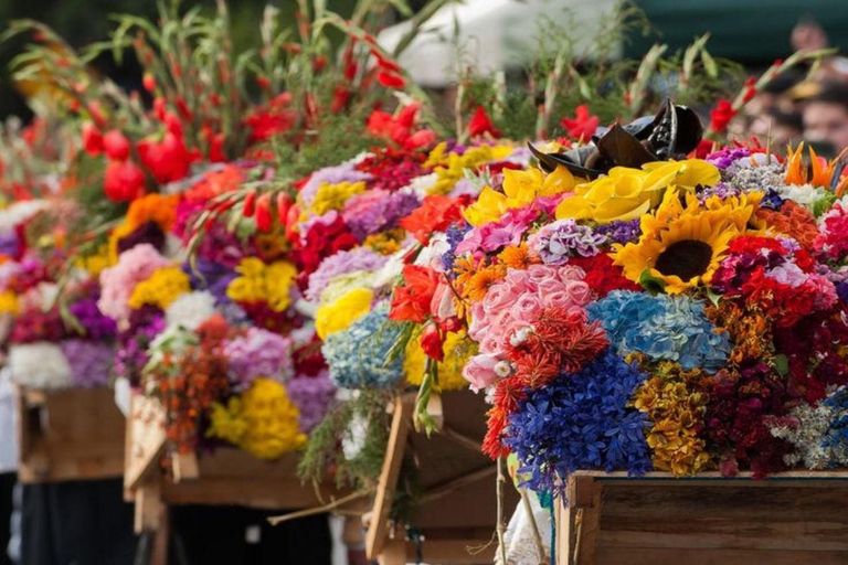 麦德林：圣埃伦娜花卉农场之旅圣埃伦娜花卉农场游览含茶点