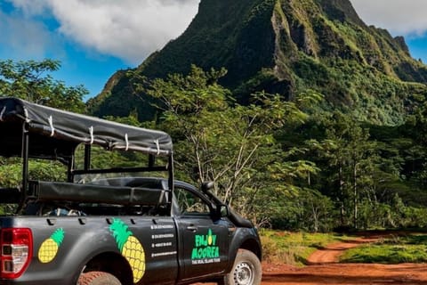 Moorea : visite de l'île avec randonnée vers une cascade et déjeuner