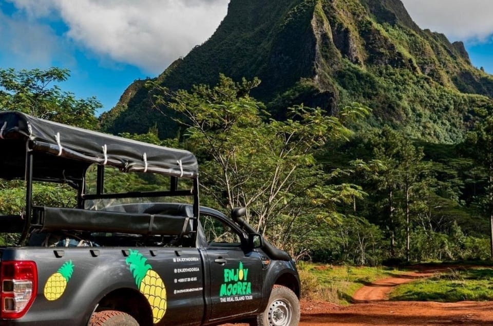 Moorea : visite de l'île avec randonnée vers une cascade et déjeuner