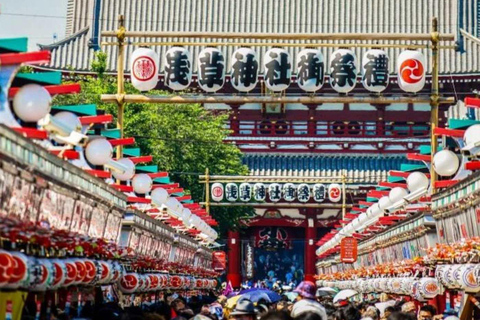 Tokyo City Private Day Tour By English Speaking Driver
