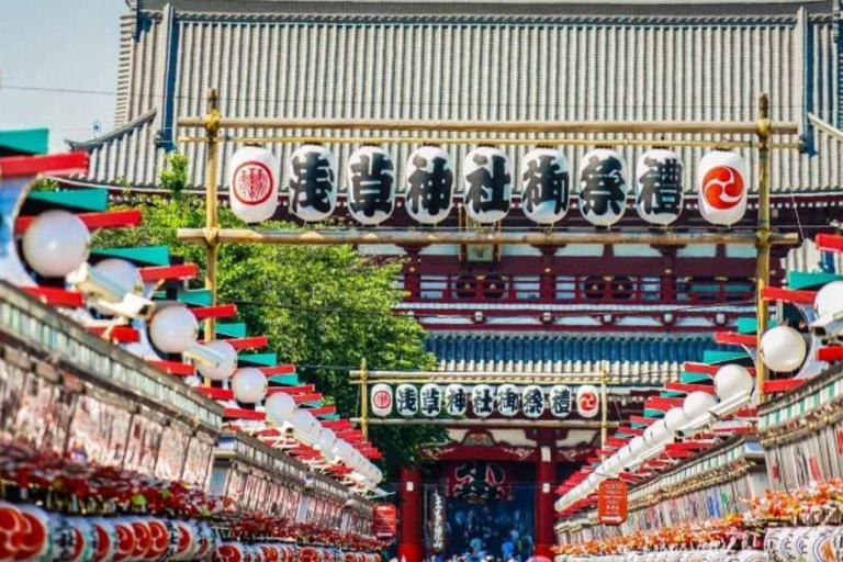 Tokyo City Private Day Tour By English Speaking Driver