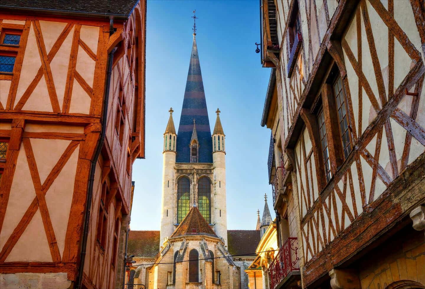 Hallo Dijon: Privater, 2-stündiger Stadtrundgang mit ortskundigem Guide
