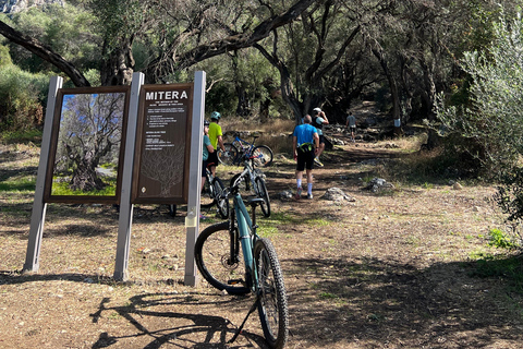 科孚岛：电动自行车之旅搭配橄榄油品鉴科孚岛：电动自行车游与橄榄油品鉴