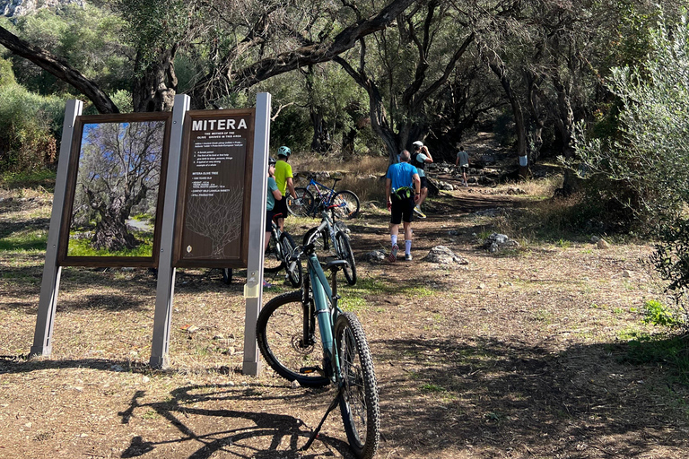 科孚岛：电动自行车之旅搭配橄榄油品鉴科孚岛：电动自行车游与橄榄油品鉴
