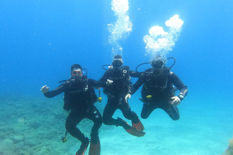 Tenerife sur: Buceo para principiantes en Adeje