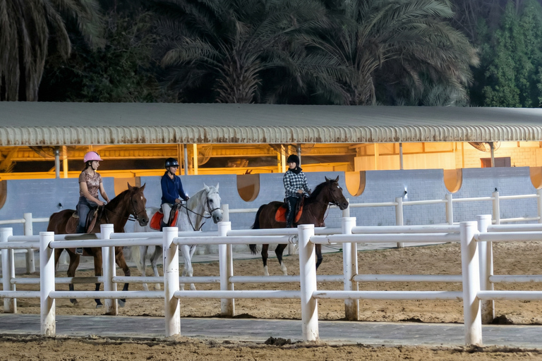 Dubai: Desert Horse Riding Experience at JSR Equestrian Club Shared Group Horse Riding - 1 Hr