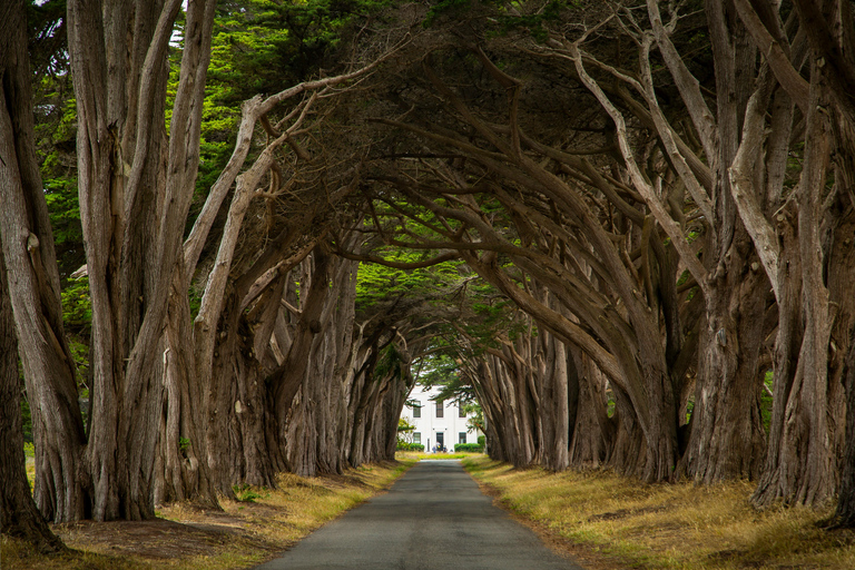 San Francisco : Muir Woods, Point Reyes et visite d&#039;une hydromellerie