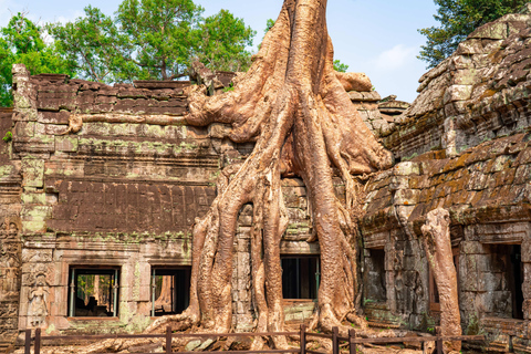 6-Day Authentic Cambodia Tour from Siem Reap to Battambang