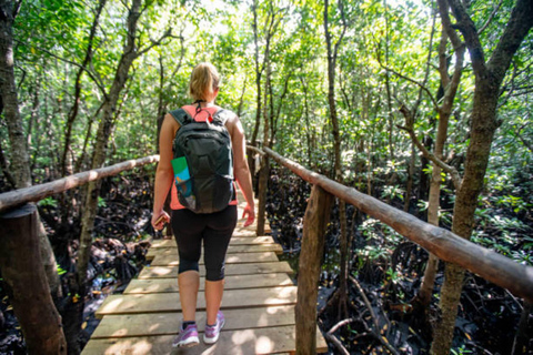 Zanzibar: Jozani forest, Butterfly & Tortoise sanctuary tour Tour with Hotel pickup & drop-off included